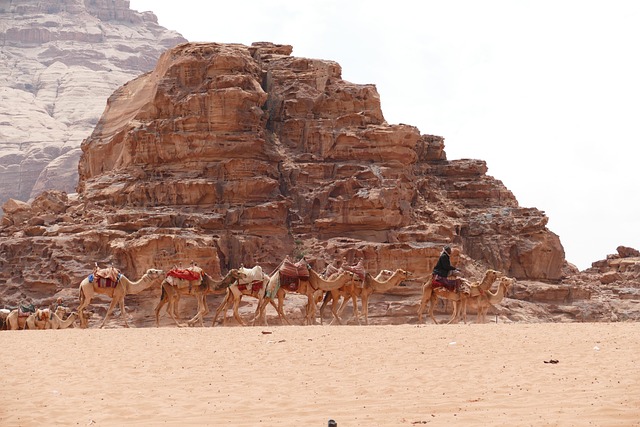 jordan, desert, sandstone, nature, sand, landscape, wadi, wadi rum, mountain, caravan, bedouin, camel