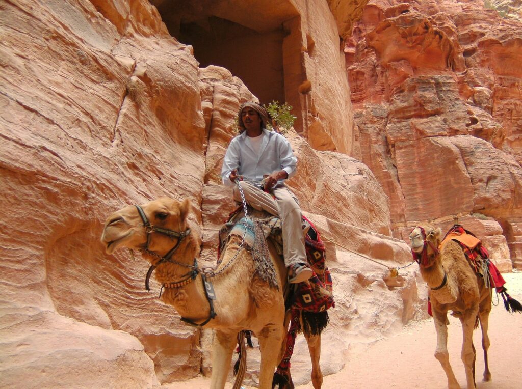 petra, jordan, camel, petra, petra, petra, petra, jordan, jordan, jordan, jordan, jordan, camel