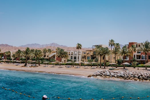 Scenic view of palm-lined beach and resort in Aqaba, Jordan on a sunny day.