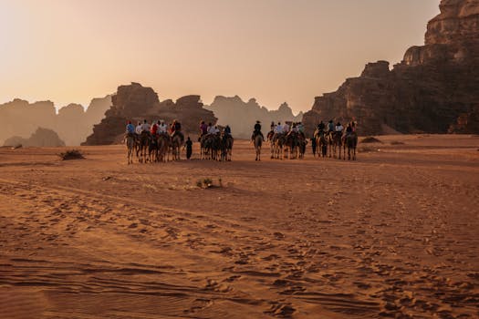 Camel caravan traversing the stunning landscapes of Wadi Rum Desert at sunset, Jordan.