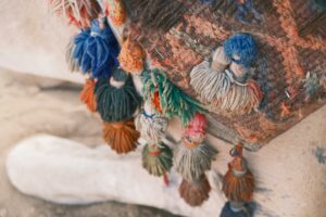pexels photo 35549770 35549770 1 Vibrant and textured close-up of a camel saddle blanket with colorful tassels, exuding warmth and cultural richness.